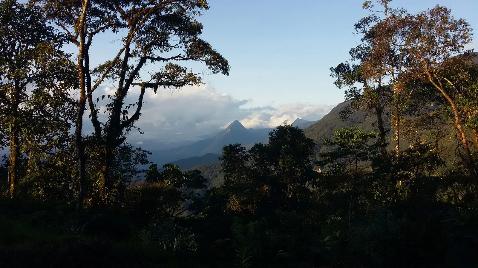 Cerro Pan de Azúcar - Naturaleza y paz en la Amazonía